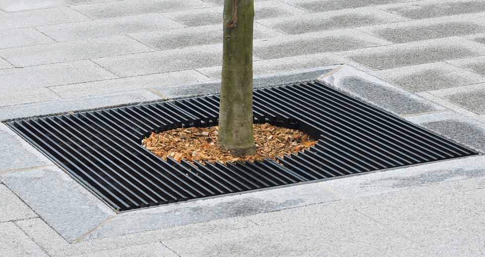 Area - Tree grate - Boston