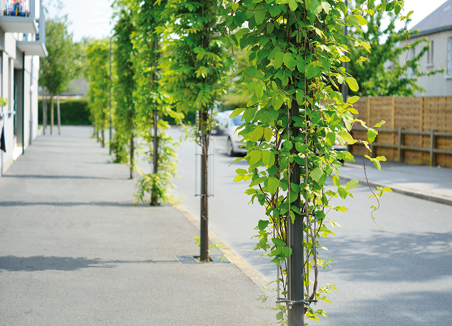 Mât pour plantes grimpantes BABYLONE conçu et fabriqué par Aréa mobilier urbain