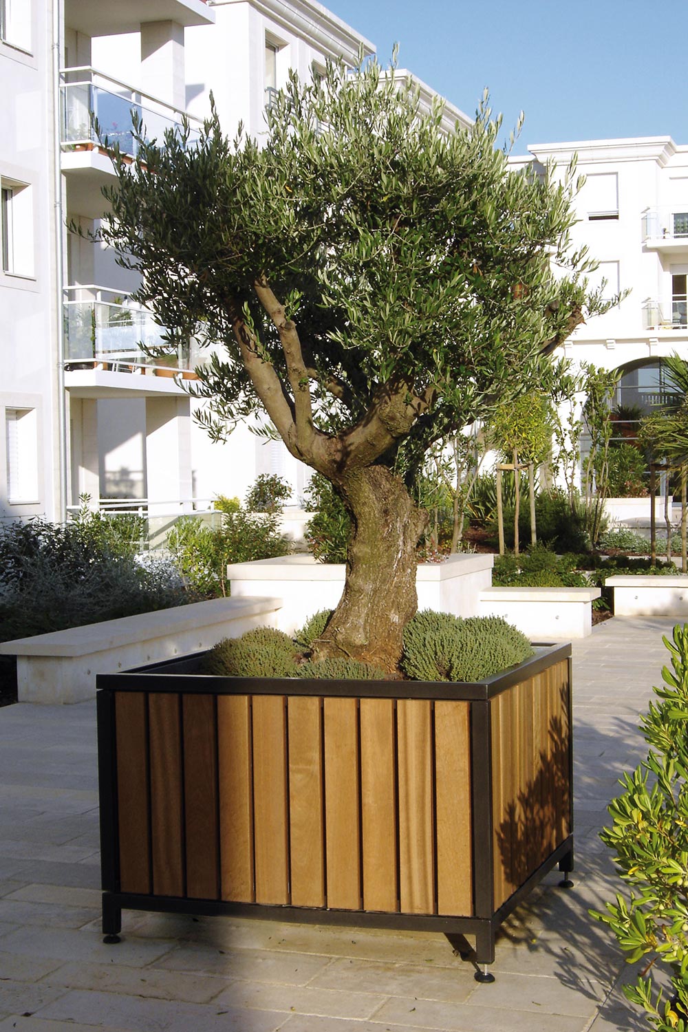 Bac d'orangerie MAZAGAN en lame de bois de 110 millimètre conçu et fabriqué par Aréa mobilier urbain