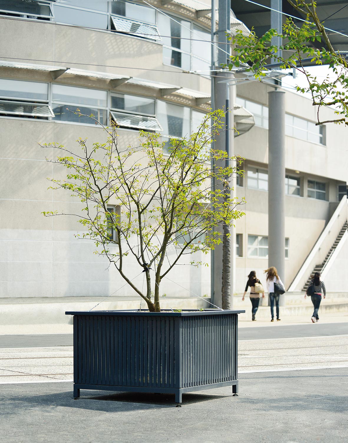 Bac d'orangerie MOGADOR conçu et fabriqué par Aréa mobilier urbain