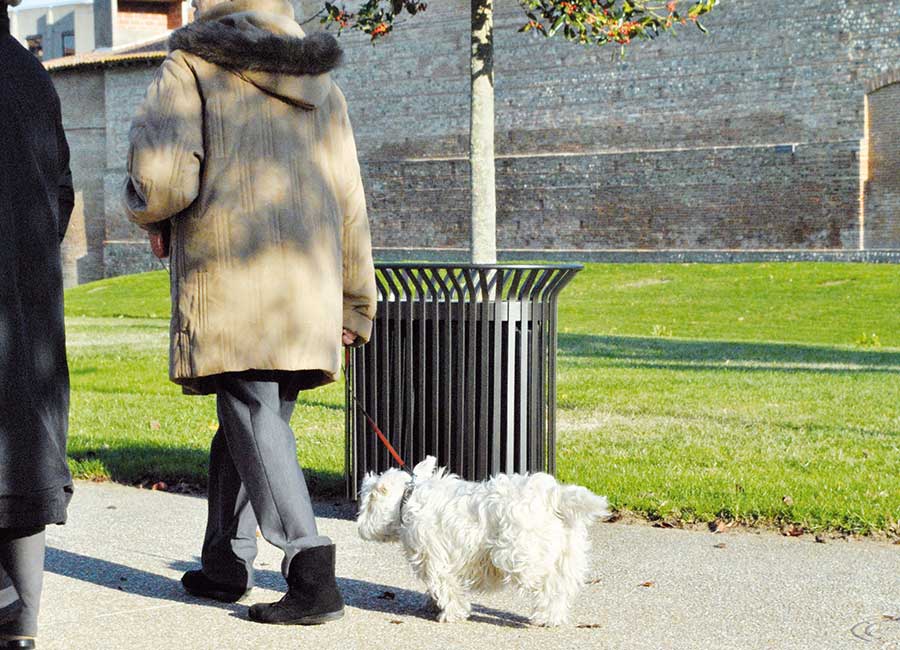 Corbeille double TULIPE conçu et fabriqué par Aréa mobilier urbain