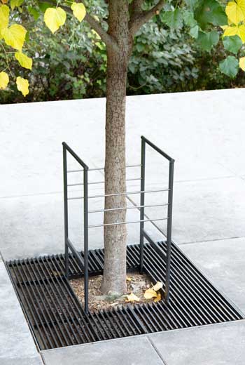 Area - Tree guard and stake - Dubaï
