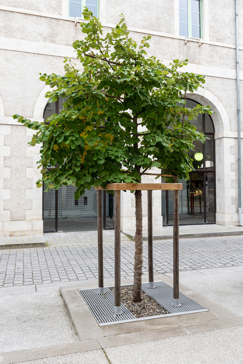 Grille d'arbre CAMBRIDGE conçu et fabriqué par Aréa mobilier urbain