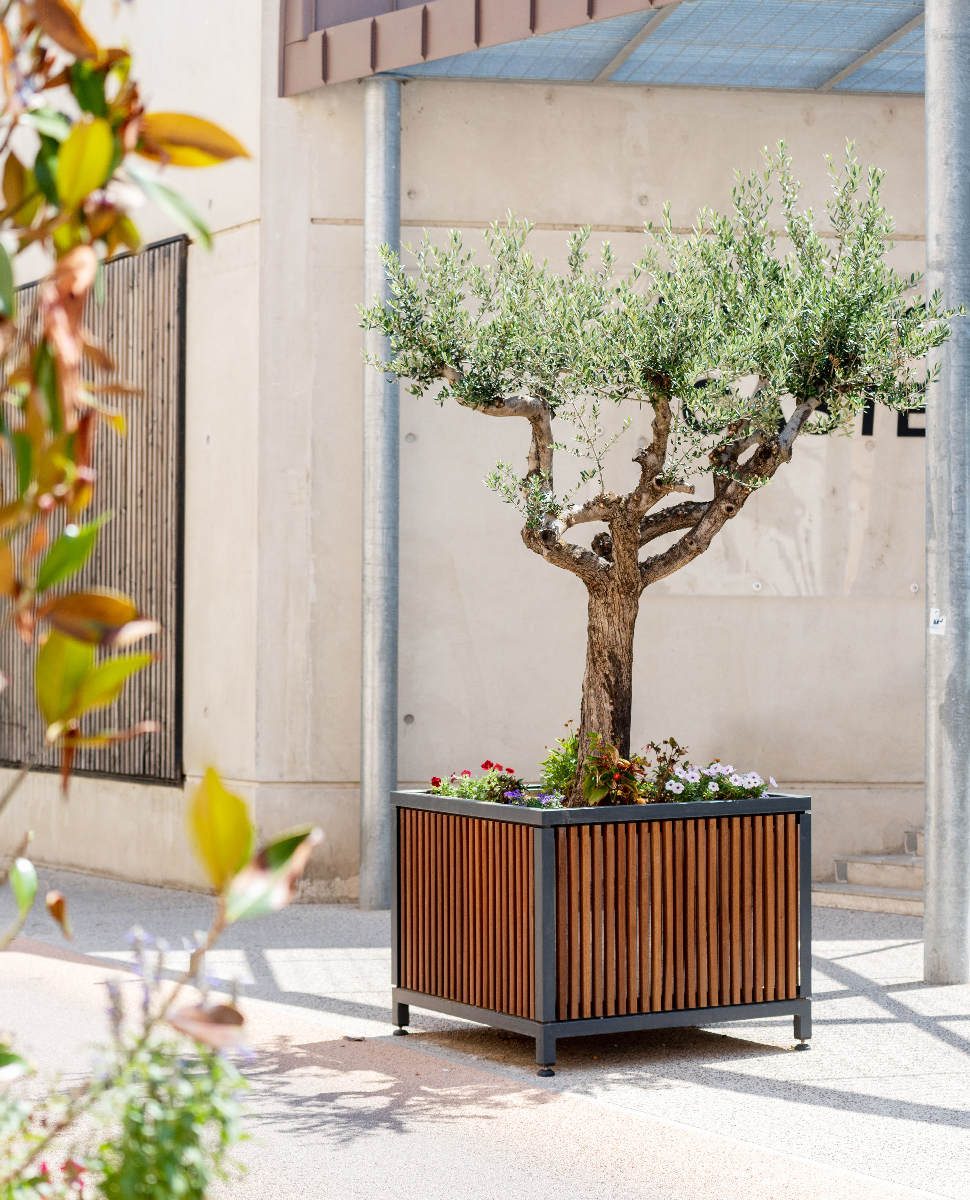 Bac d'orangerie MAZAGAN en lame de bois de 30 millimètre conçu et fabriqué par Aréa mobilier urbain