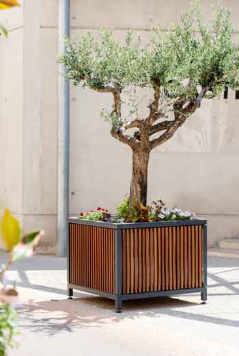 Area - Planter - Mazagan Wood 30