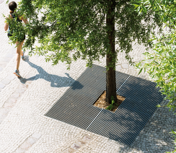 Area - Tree grate - Baltimore